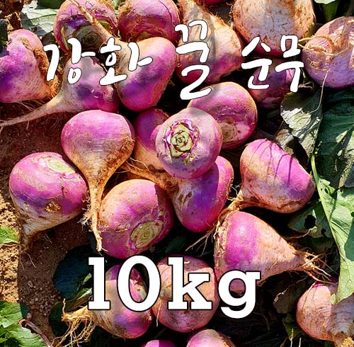 강화 연미농장  꿀 순무 -10kg 무료배송